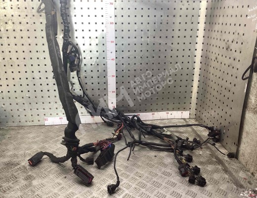 Проводка двигателя Audi A4 B6 (8EC, 8E5) 2000-2004  Audi A4 A4 B6 (8EC, 8E5) 2000-2004