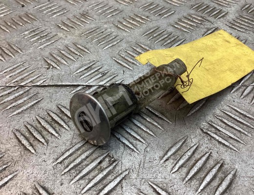 Личинка дверного замка Renault Scenic I (JA) 1996-1999  Renault Scenic Scenic I (JA) 1996-1999