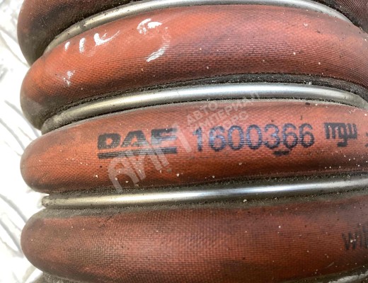 Патрубок интеркулера DAF (XF105) 2006-2013  DAF XF (XF105) 2006-2013