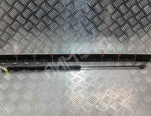 Амортизатор капота MAN TGS I 2007-2020  MAN TGS TGS I 2007-2020