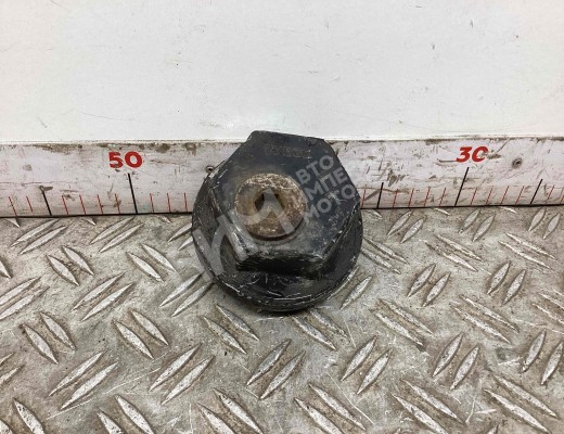 Гайка ступицы Iveco Eurocargo III 2008-2015  Iveco Eurocargo Eurocargo III 2008-2015