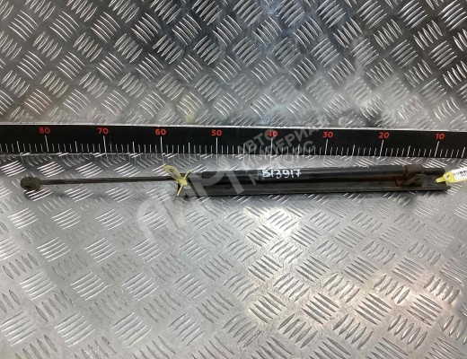 Амортизатор капота Renault Kerax 1997-2013  Renault Kerax Kerax 1997-2013