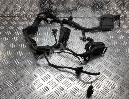Проводка двигателя Opel Astra G 1998-2004  Opel Astra Astra G 1998-2004