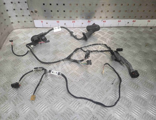 Проводка двери задней правой Audi A6 C6 (4F) 2004-2008  Audi A6 A6 C6 (4F) 2004-2008