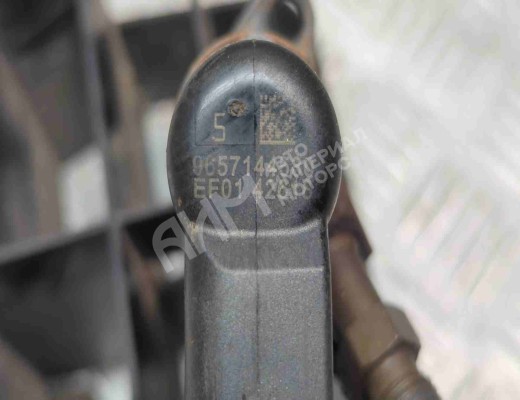 Форсунка Peugeot 307 (3A/3H) 2001-2005  Peugeot 307 307 (3A/3H) 2001-2005