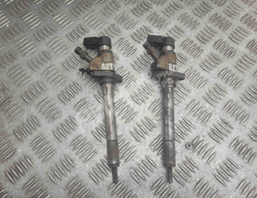 Форсунка Peugeot 307 (3A/3H) 2001-2005  Peugeot 307 307 (3A/3H) 2001-2005