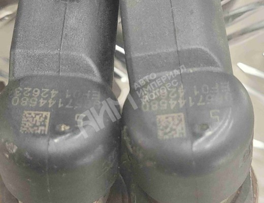 Форсунка Peugeot 307 (3A/3H) 2001-2005  Peugeot 307 307 (3A/3H) 2001-2005