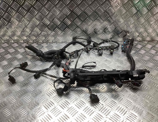 Проводка двигателя Seat Cordoba II (6L) 2003-2009  Seat Cordoba Cordoba II (6L) 2003-2009