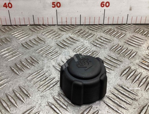Пробка расширительного бачка Renault Scenic II (JM) 2003-2006  Renault Scenic Scenic II (JM) 2003-2006