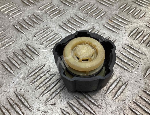 Пробка расширительного бачка Renault Laguna II (X74) 2001-2005  Renault Laguna Laguna II (X74) 2001-2005