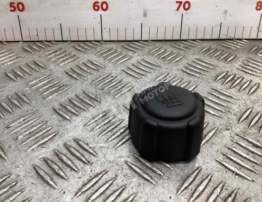 Пробка расширительного бачка Renault Laguna II (X74) 2001-2005  Renault Laguna Laguna II (X74) 2001-2005