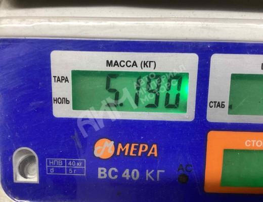 Насос масляный Iveco Eurocargo I 1991-2002  Iveco Eurocargo Eurocargo I 1991-2002