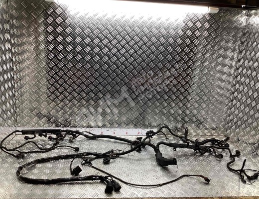 Проводка двигателя Audi A8 D2 (4D) 1994-2002  Audi A8 A8 D2 (4D) 1994-2002