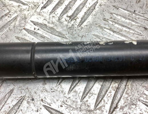 Амортизатор капота BMW X5 (E53) 1999-2003  BMW X5 X5 (E53) 1999-2003