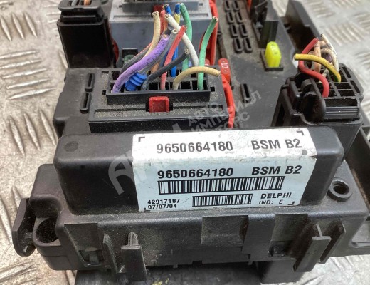Блок BSM Peugeot 307 (3A/3H) 2001-2005  Peugeot 307 307 (3A/3H) 2001-2005