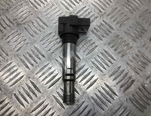 Катушка зажигания Volkswagen Golf IV (1J) 1997-2004  Volkswagen Golf Golf IV (1J) 1997-2004