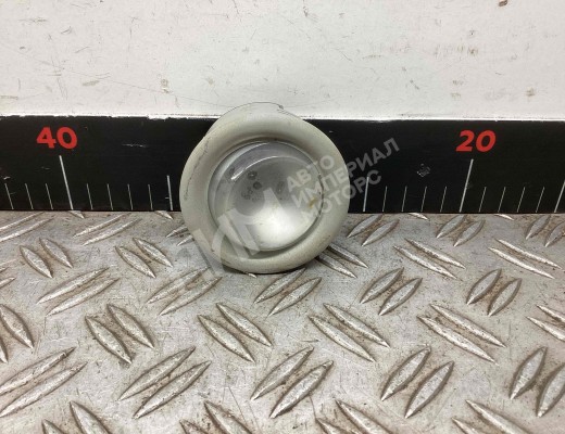 Фонарь салона (плафон) Iveco Stralis I 2002-2012  Iveco Stralis Stralis I 2002-2012