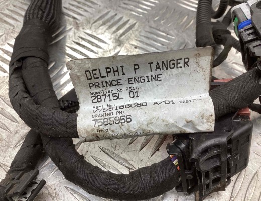 Проводка двигателя Citroen C4 Picasso (UD) 2006-2013  Citroen C4 Picasso C4 Picasso (UD) 2006-2013