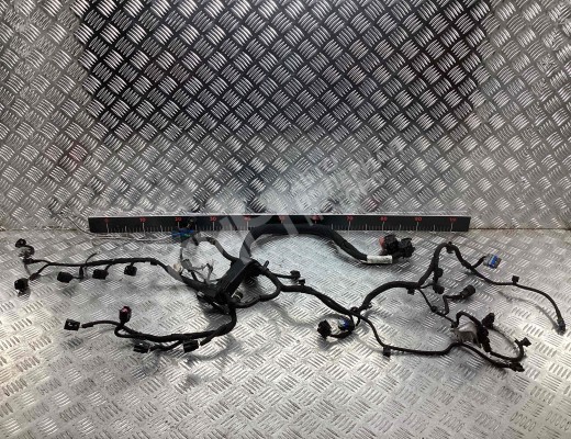 Проводка двигателя Citroen C4 Picasso (UD) 2006-2013  Citroen C4 Picasso C4 Picasso (UD) 2006-2013