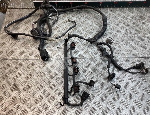 Проводка двигателя Volkswagen Golf IV (1J) 1997-2004  Volkswagen Golf Golf IV (1J) 1997-2004