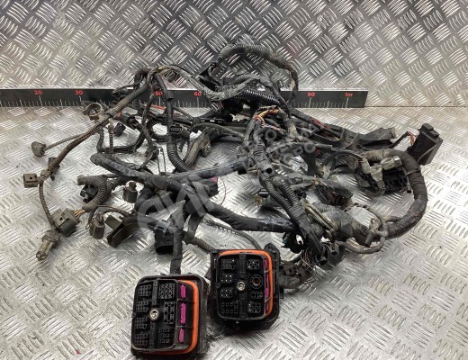 Проводка двигателя Seat Ibiza III (6L) 2002-2008  Seat Ibiza Ibiza III (6L) 2002-2008