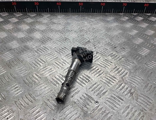 Катушка зажигания Seat Ibiza III (6L) 2002-2008  Seat Ibiza Ibiza III (6L) 2002-2008