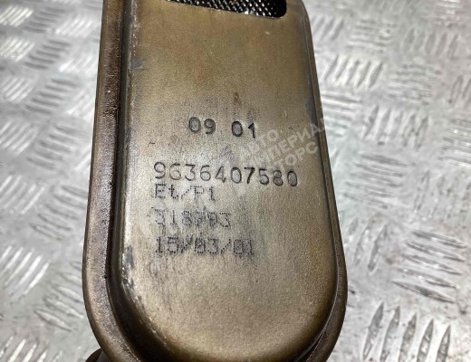 Маслозаборник Citroen C5 I 2001-2004  Citroen C5 C5 I 2001-2004