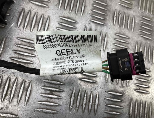 Проводка двигателя Geely Tugella (HPBA4) 2022-2024 рестайлинг  Geely Tugella Tugella (HPBA4) 2022-2024 рестайлинг