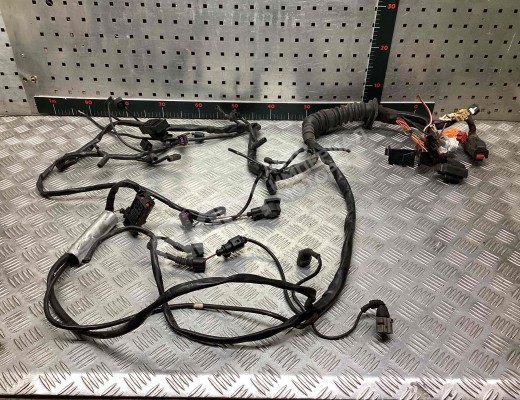 Проводка двигателя Audi A6 C5 (4B) 2001-2004 рестайлинг  Audi A6 A6 C5 (4B) 2001-2004 рестайлинг