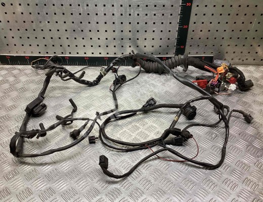 Проводка двигателя Audi A6 C5 (4B) 2001-2004 рестайлинг  Audi A6 A6 C5 (4B) 2001-2004 рестайлинг