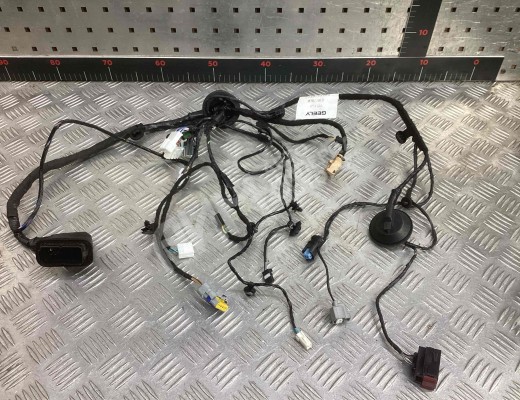 Проводка двери передней левой Geely Tugella (HPBA4) 2022-2024 рестайлинг  Geely Tugella Tugella (HPBA4) 2022-2024 рестайлинг