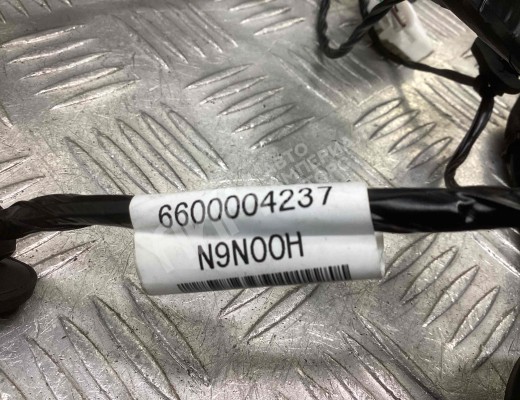 Проводка двери задней левой Geely Tugella (HPBA4) 2022-2024 рестайлинг  Geely Tugella Tugella (HPBA4) 2022-2024 рестайлинг