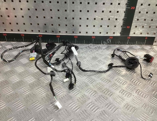 Проводка двери задней левой Geely Tugella (HPBA4) 2022-2024 рестайлинг  Geely Tugella Tugella (HPBA4) 2022-2024 рестайлинг