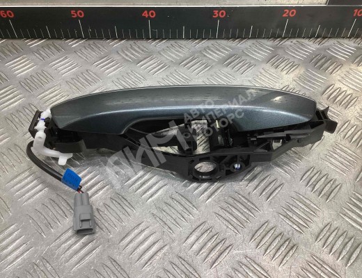 Ручка наружная задняя левая Geely Tugella (HPBA4) 2022-2024 рестайлинг  Geely Tugella Tugella (HPBA4) 2022-2024 рестайлинг