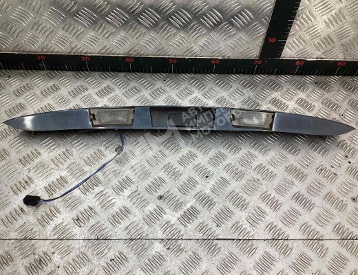 Подсветка номера Renault Scenic I (JA) 1999-2003 рестайлинг  Renault Scenic Scenic I (JA) 1999-2003 рестайлинг