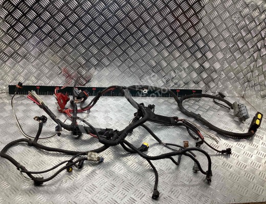 Проводка двигателя Renault Scenic II (JM) 2003-2006  Renault Scenic Scenic II (JM) 2003-2006