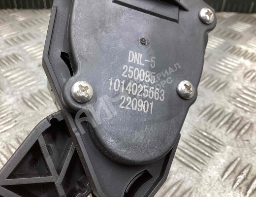 Педаль газа Geely Tugella (HPBA4) 2022-2024 рестайлинг  Geely Tugella Tugella (HPBA4) 2022-2024 рестайлинг