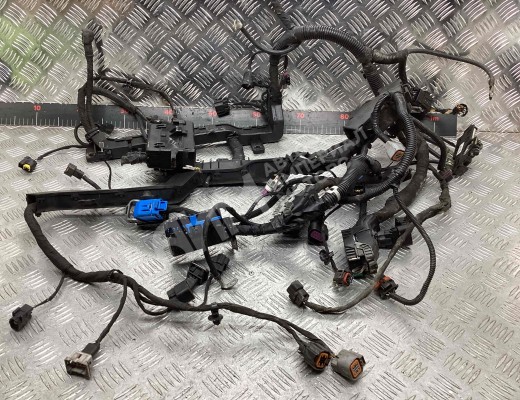 Проводка двигателя Kia Carnival II (VQ) 2006-2014  Kia Carnival Carnival II (VQ) 2006-2014