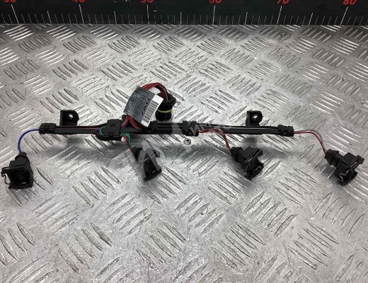 Проводка форсунок BMW 7-Series (E65/66) 2001-2008  BMW 7-Series 7-Series (E65/66) 2001-2008