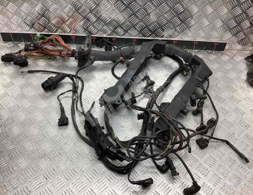 Проводка двигателя BMW 7-Series (E65/66) 2001-2008  BMW 7-Series 7-Series (E65/66) 2001-2008