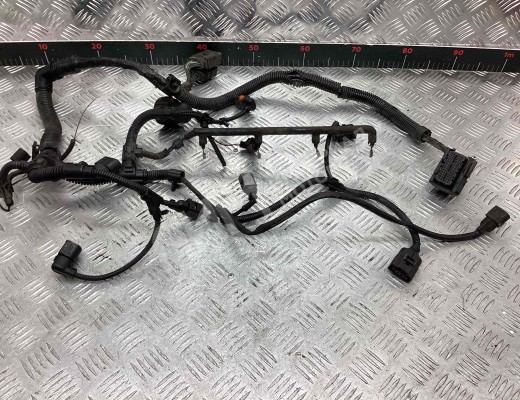 Проводка двигателя Volkswagen Sharan I (7M) 2003-2010 2-й рестайлинг  Volkswagen Sharan Sharan I (7M) 2003-2010 2-й рестайлинг