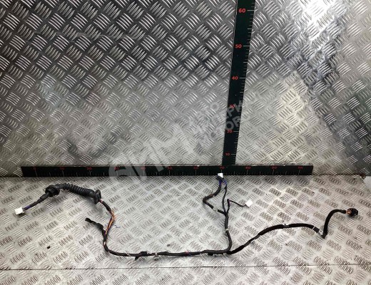 Проводка двери задней левой Hyundai Terracan (HP) 2001-2007  Hyundai Terracan Terracan (HP) 2001-2007