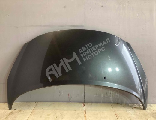 Капот Peugeot 207 (WA/WC/WK) 2006-2013  Peugeot 207 207 (WA/WC/WK) 2006-2013