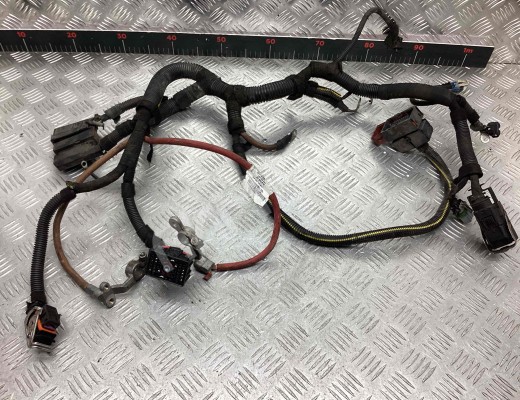 Проводка двигателя Opel Vectra C 2002-2005  Opel Vectra Vectra C 2002-2005