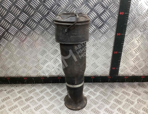 Пневмостойка задняя Citroen C4 G. Picasso I (UA) 2006-2013  Citroen C4 Grand Picasso C4 G. Picasso I (UA) 2006-2013