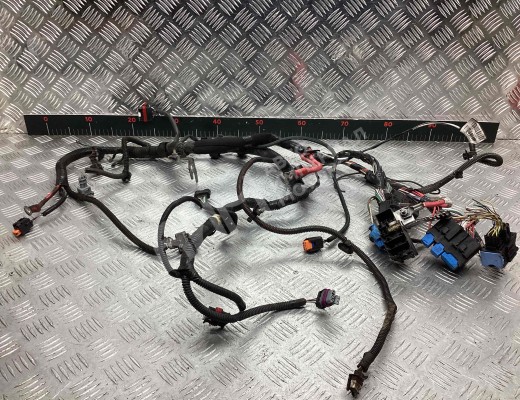 Проводка двигателя Dacia Sandero II (B52) 2013-2020  Dacia Sandero Sandero II (B52) 2013-2020