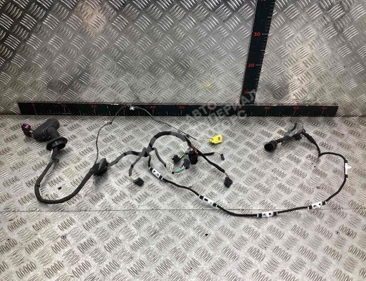 Проводка двери передней правой Audi A6 C6 (4F) 2004-2008  Audi A6 A6 C6 (4F) 2004-2008
