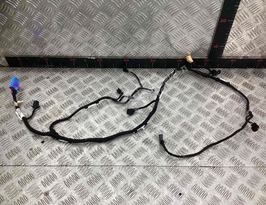 Проводка двери передней правой Audi A6 C6 (4F) 2004-2008  Audi A6 A6 C6 (4F) 2004-2008