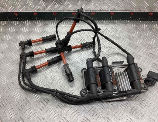 Катушка зажигания Audi A6 C5 (4B) 1997-2001  Audi A6 A6 C5 (4B) 1997-2001