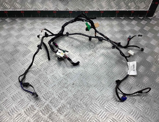 Проводка салона Geely Tugella (HPBA4) 2022-2024 рестайлинг  Geely Tugella Tugella (HPBA4) 2022-2024 рестайлинг